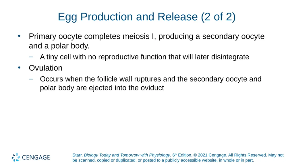 Chapter 27 Animal Reproduction and Development - slide 22 of 58