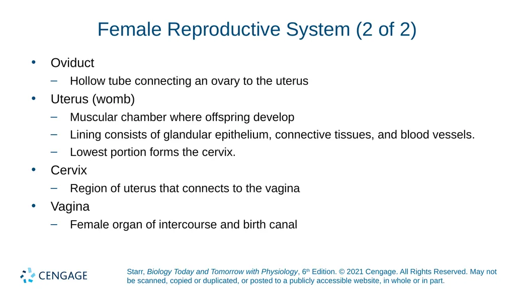 Chapter 27 Animal Reproduction and Development - slide 19 of 58