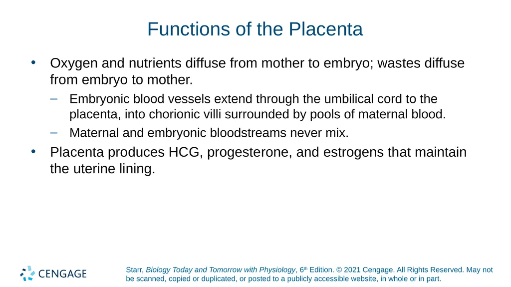Chapter 27 Animal Reproduction and Development - slide 44 of 58