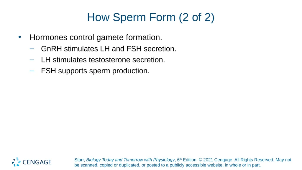 Chapter 27 Animal Reproduction and Development - slide 33 of 58
