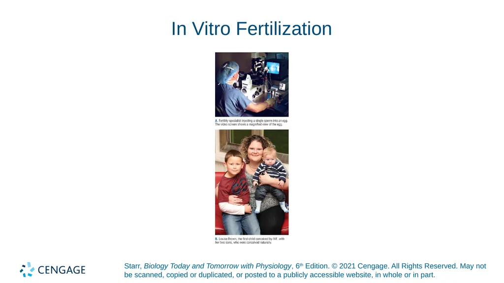 Chapter 27 Animal Reproduction and Development - slide 5 of 58
