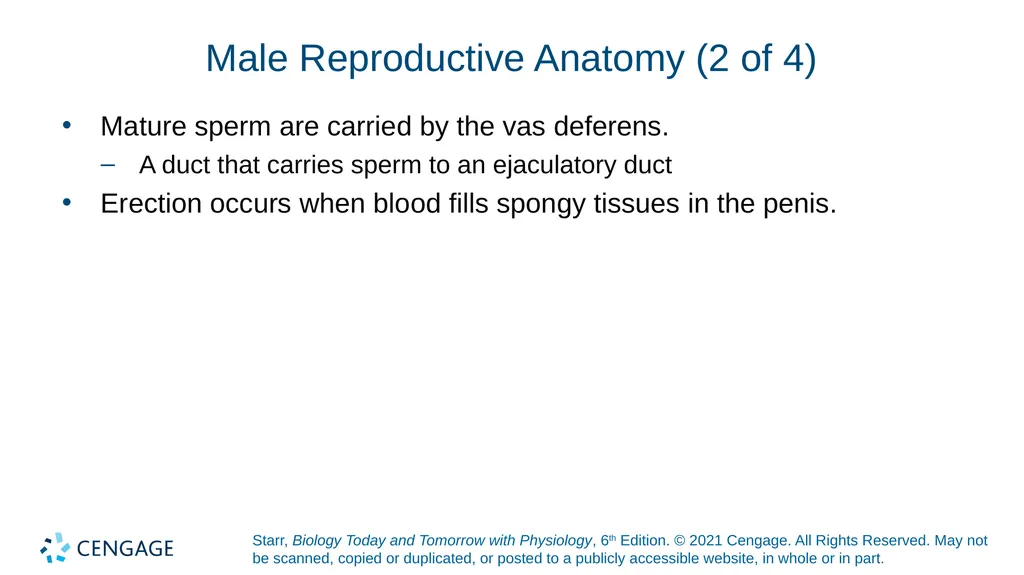 Chapter 27 Animal Reproduction and Development - slide 29 of 58