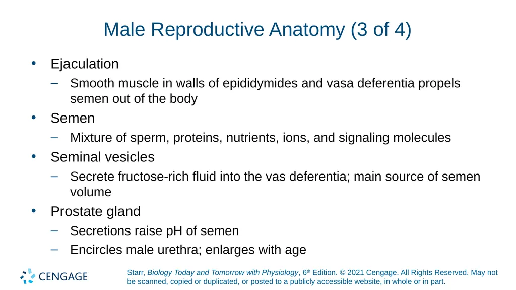 Chapter 27 Animal Reproduction and Development - slide 30 of 58