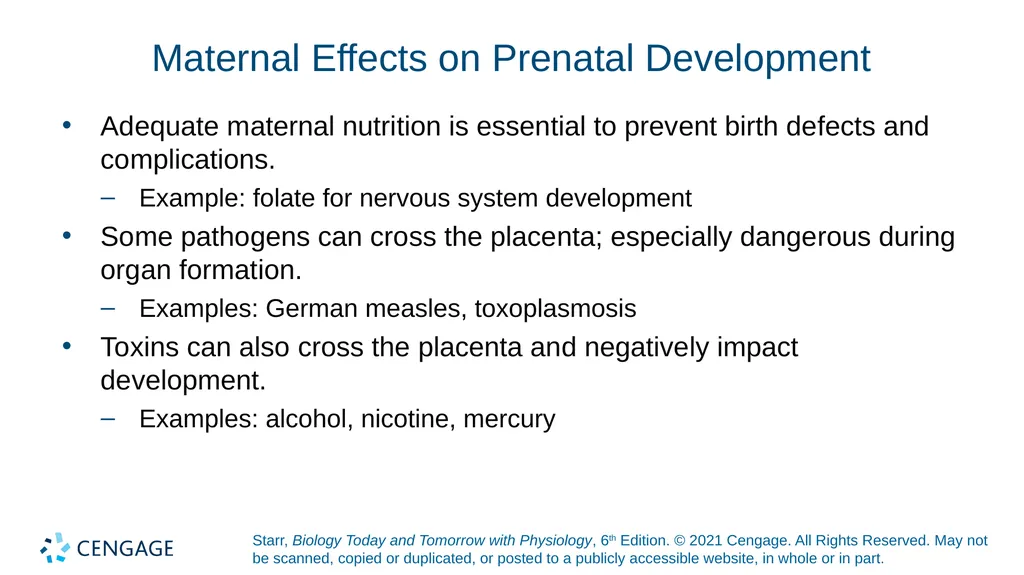Chapter 27 Animal Reproduction and Development - slide 46 of 58