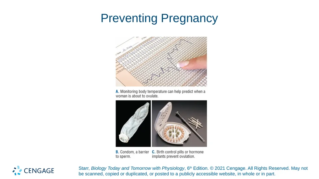 Chapter 27 Animal Reproduction and Development - slide 51 of 58