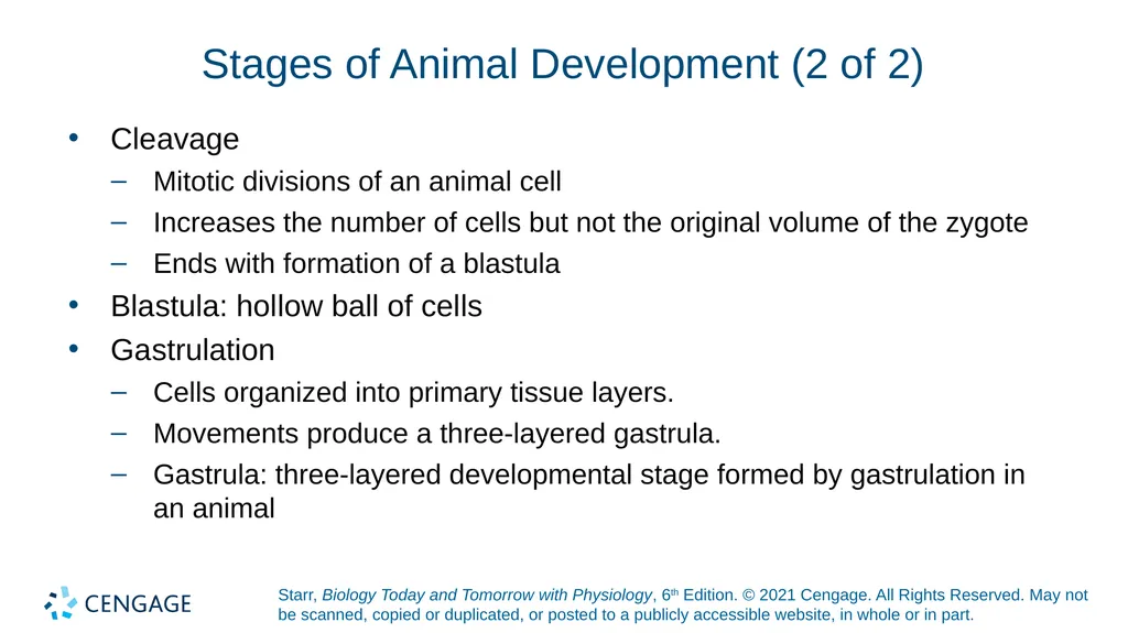 Chapter 27 Animal Reproduction and Development - slide 13 of 58