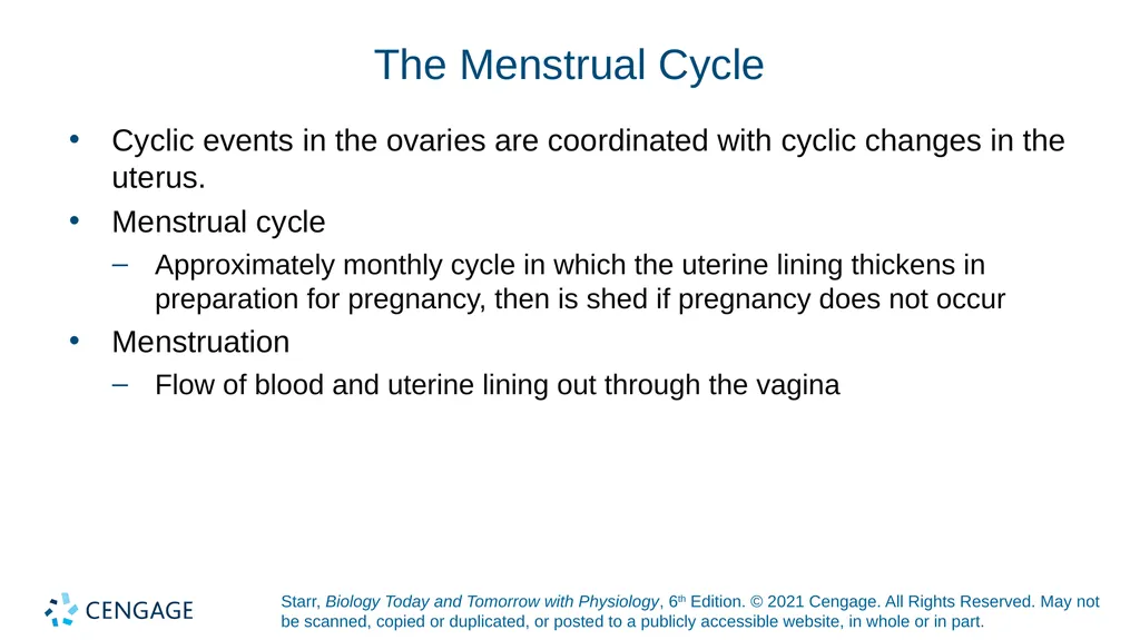 Chapter 27 Animal Reproduction and Development - slide 25 of 58