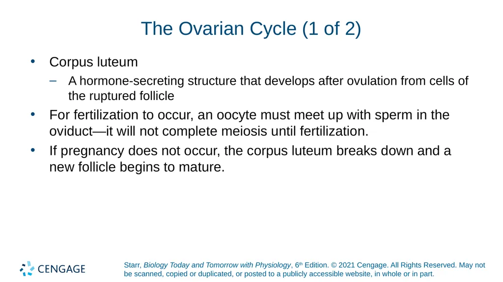 Chapter 27 Animal Reproduction and Development - slide 23 of 58