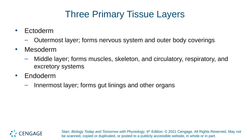 Chapter 27 Animal Reproduction and Development - slide 16 of 58