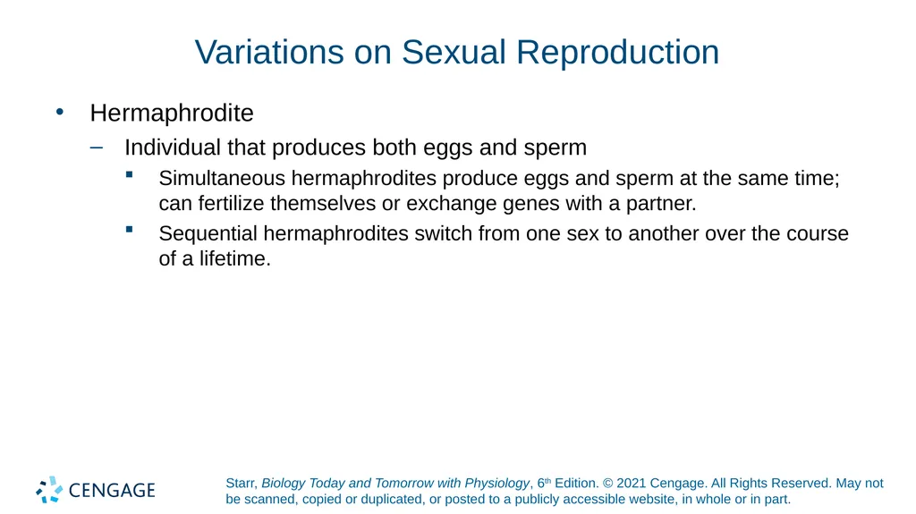 Chapter 27 Animal Reproduction and Development - slide 9 of 58