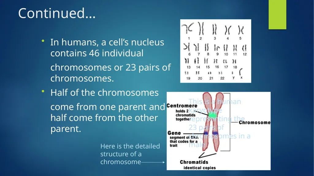 TOPIC 1 : Introduction to the Cell & Cell Theory - slide 27 of 47