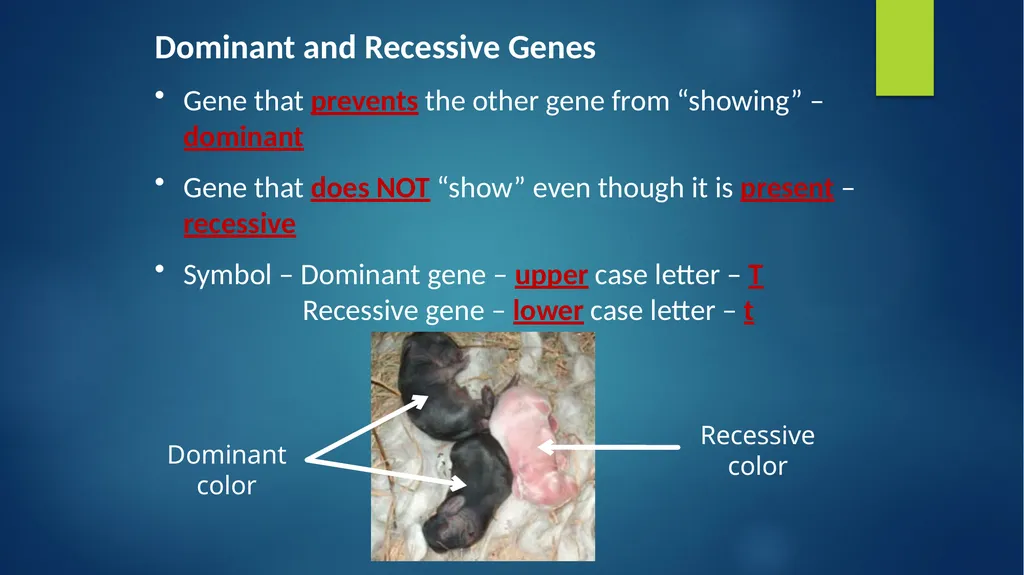 TOPIC 1 : Introduction to the Cell & Cell Theory - slide 34 of 47