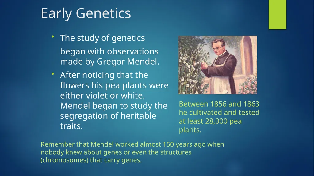 TOPIC 1 : Introduction to the Cell & Cell Theory - slide 24 of 47