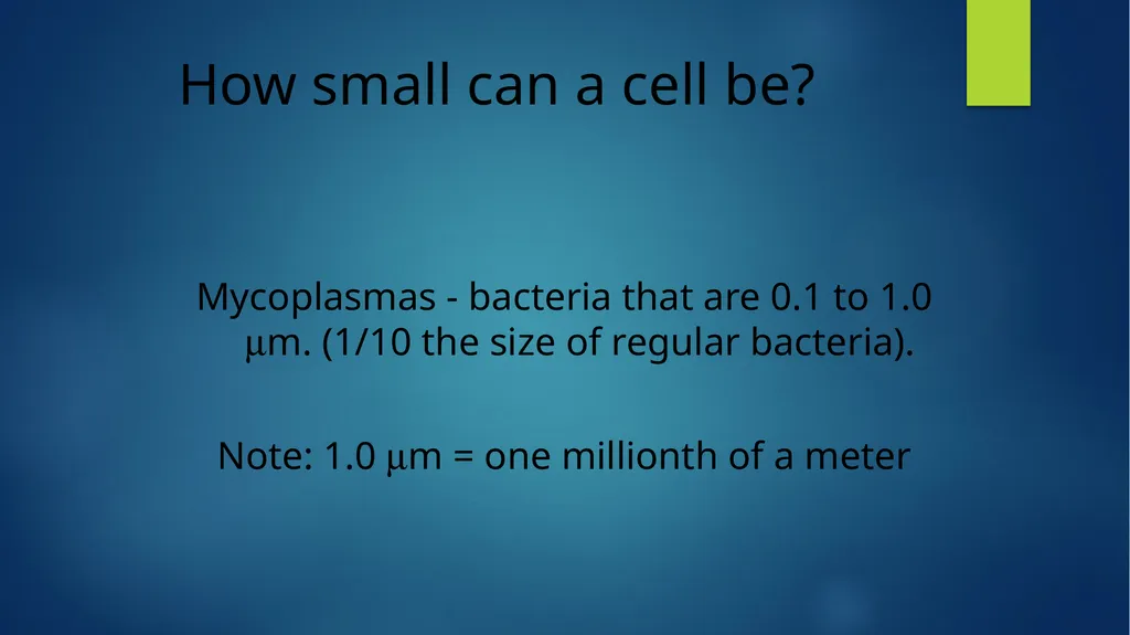 TOPIC 1 : Introduction to the Cell & Cell Theory - slide 5 of 47