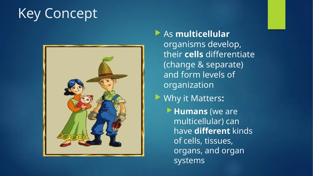 TOPIC 1 : Introduction to the Cell & Cell Theory - slide 13 of 47