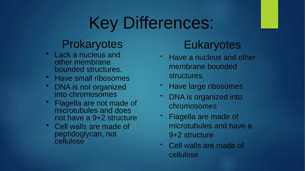 TOPIC 1 : Introduction to the Cell & Cell Theory - slide 9 of 47