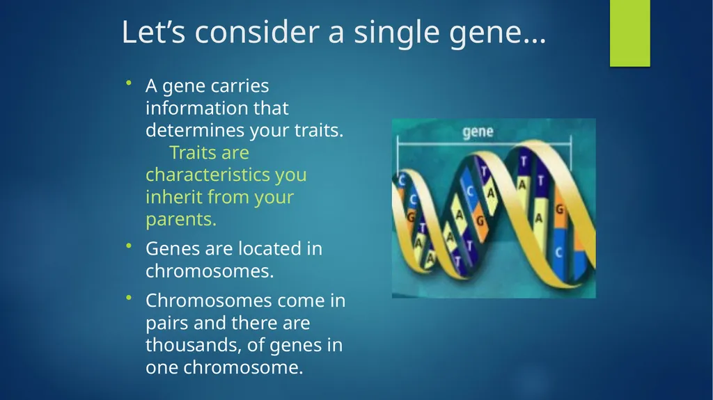 TOPIC 1 : Introduction to the Cell & Cell Theory - slide 26 of 47