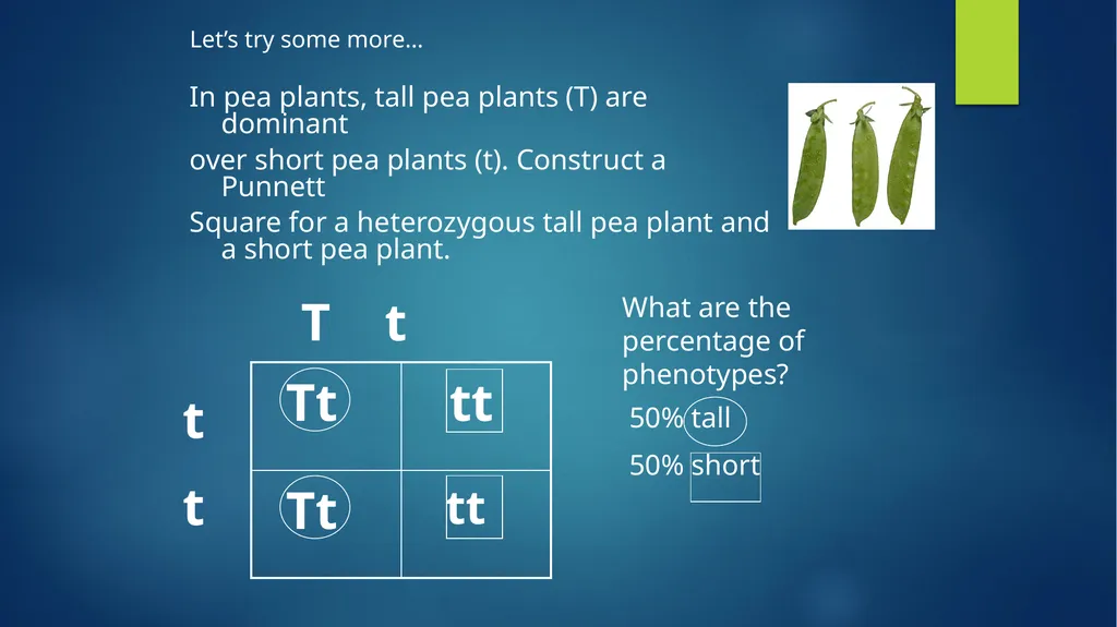 TOPIC 1 : Introduction to the Cell & Cell Theory - slide 46 of 47