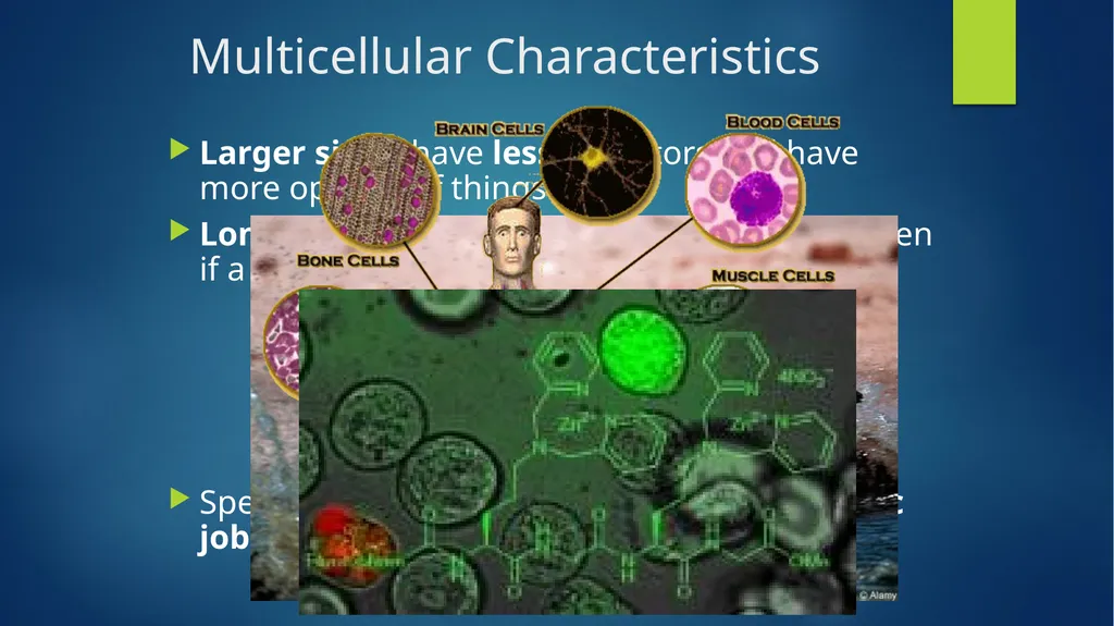 TOPIC 1 : Introduction to the Cell & Cell Theory - slide 16 of 47