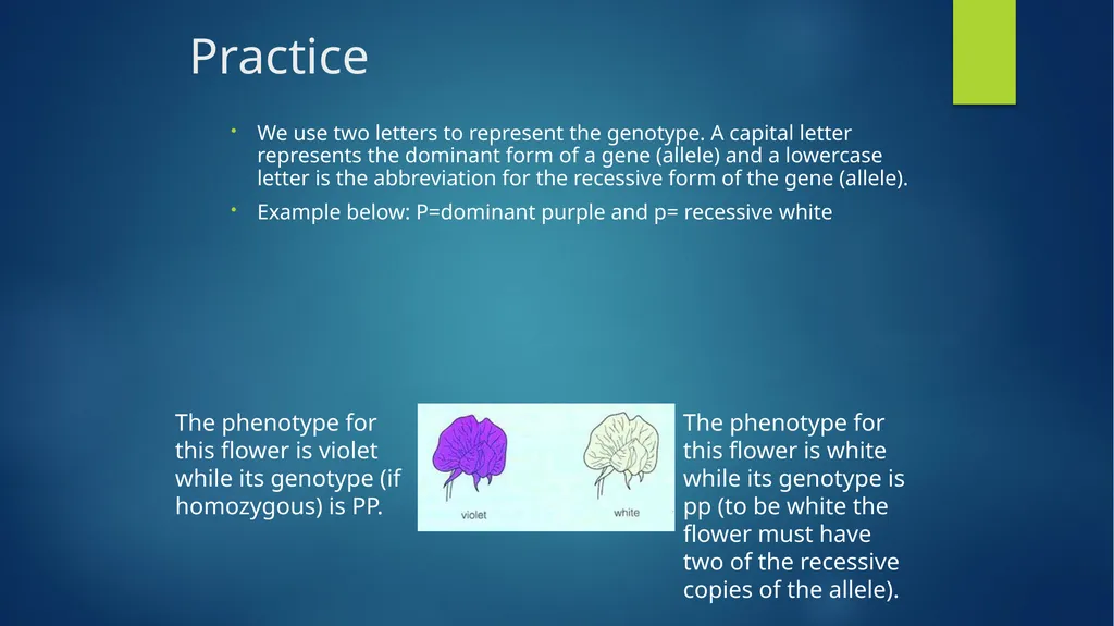 TOPIC 1 : Introduction to the Cell & Cell Theory - slide 38 of 47