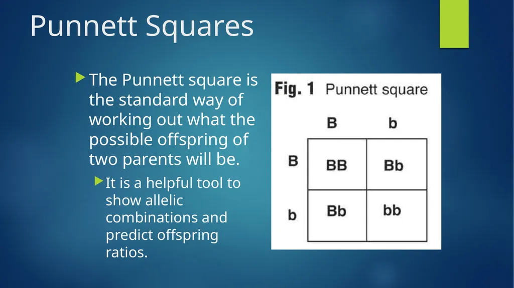 TOPIC 1 : Introduction to the Cell & Cell Theory - slide 39 of 47
