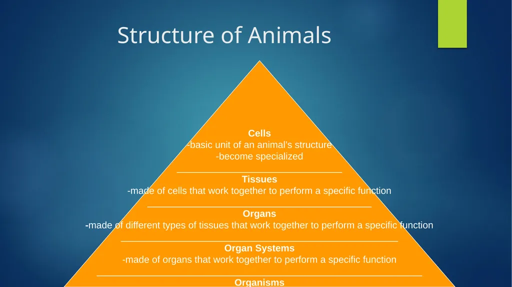 TOPIC 1 : Introduction to the Cell & Cell Theory - slide 22 of 47