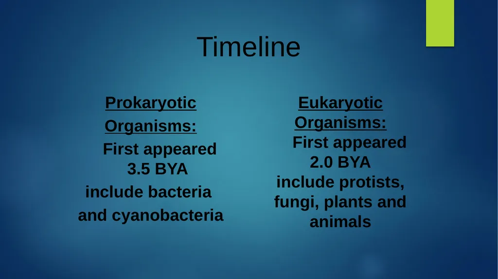 TOPIC 1 : Introduction to the Cell & Cell Theory - slide 8 of 47