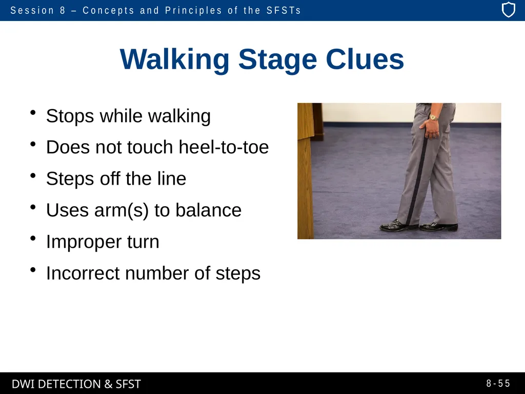 Session 8 Concepts and Principles of the - slide 55 of 75