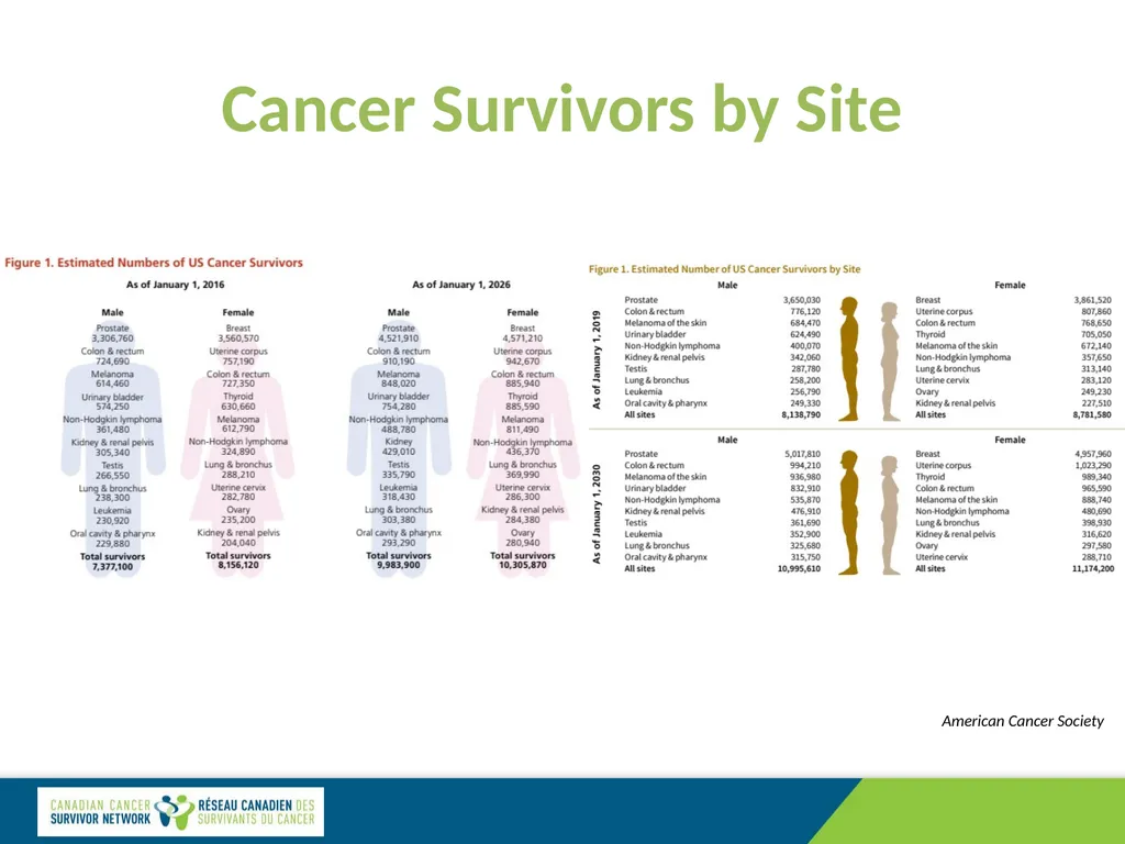 Cancer Pain Management: Specialized Care Dr. David - slide 4 of 12