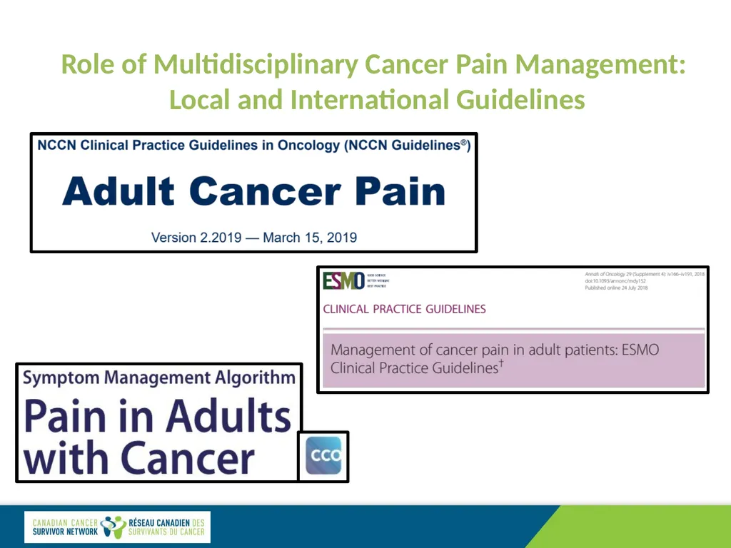 Cancer Pain Management: Specialized Care Dr. David - slide 12 of 12