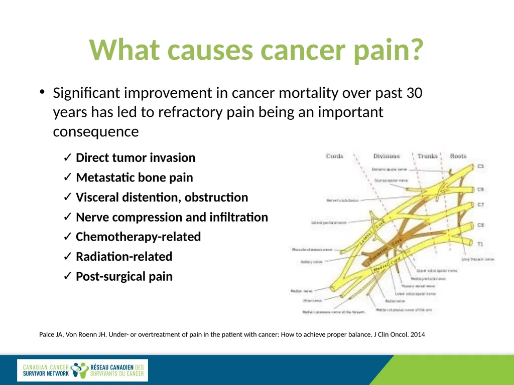 Cancer Pain Management: Specialized Care Dr. David - slide 2 of 12