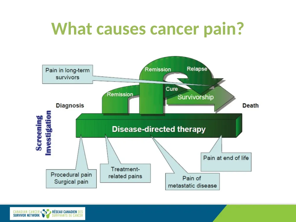 Cancer Pain Management: Specialized Care Dr. David - slide 3 of 12