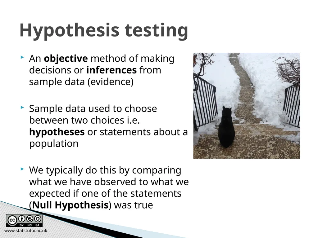 Introductory Statistics and Hypothesis Testing - slide 32 of 186
