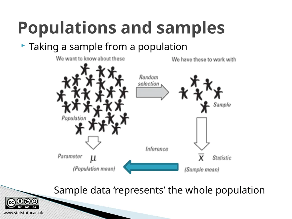 Introductory Statistics and Hypothesis Testing - slide 11 of 186