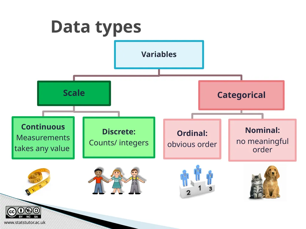 Introductory Statistics and Hypothesis Testing - slide 8 of 186