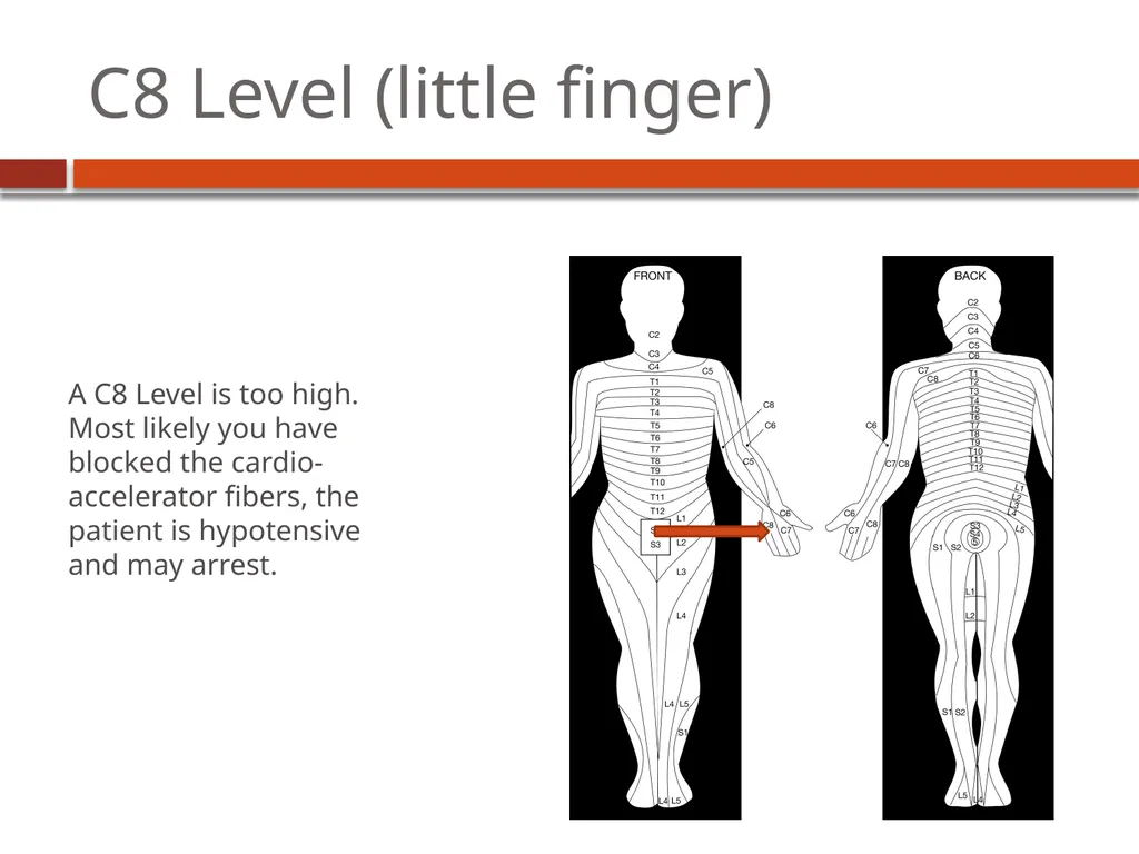 Dermatome Levels Developing Countries Regional - slide 19 of 25