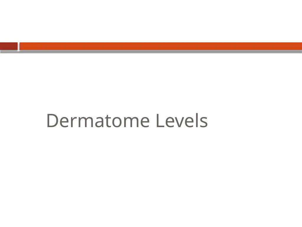 Dermatome Levels Developing Countries Regional - slide 10 of 25