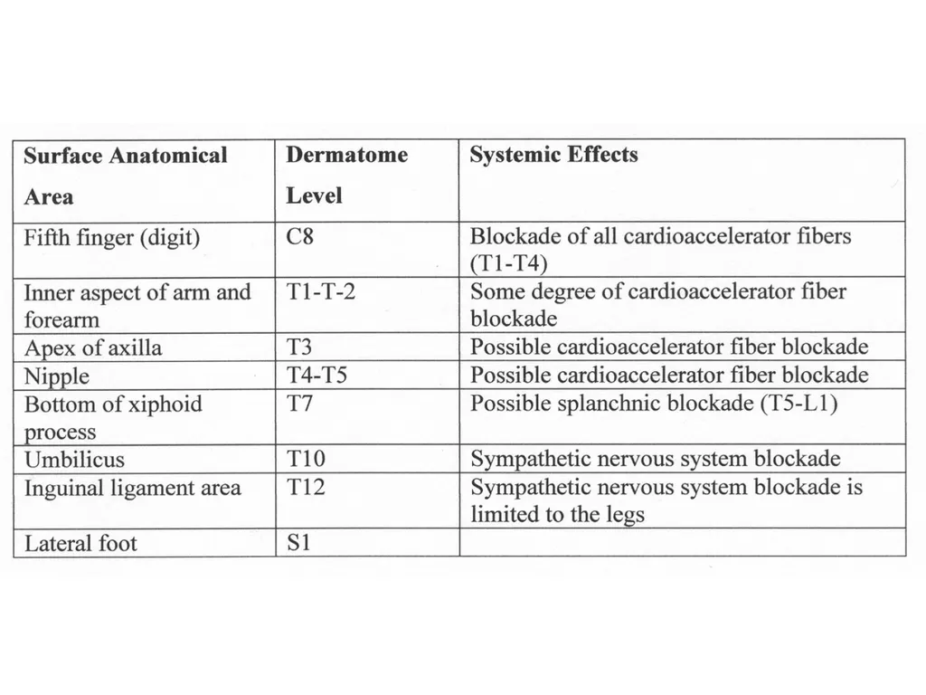Dermatome Levels Developing Countries Regional - slide 16 of 25