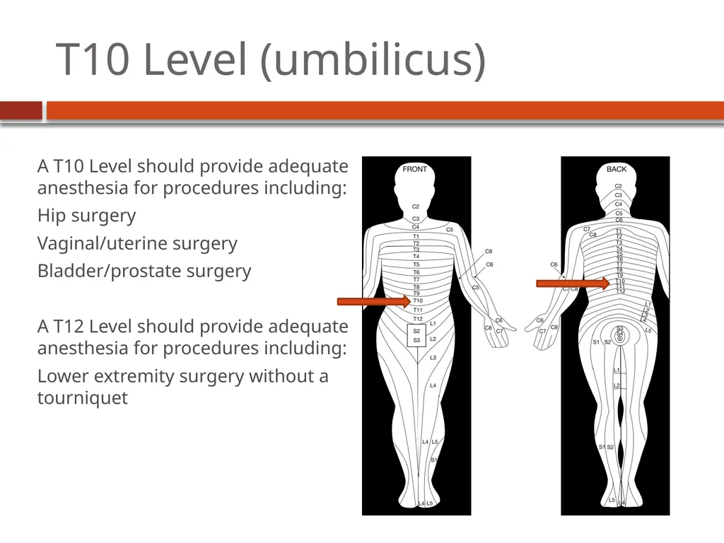 Dermatome Levels Developing Countries Regional - slide 17 of 25