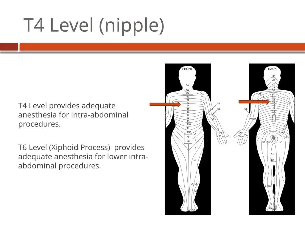 Dermatome Levels Developing Countries Regional - slide 18 of 25