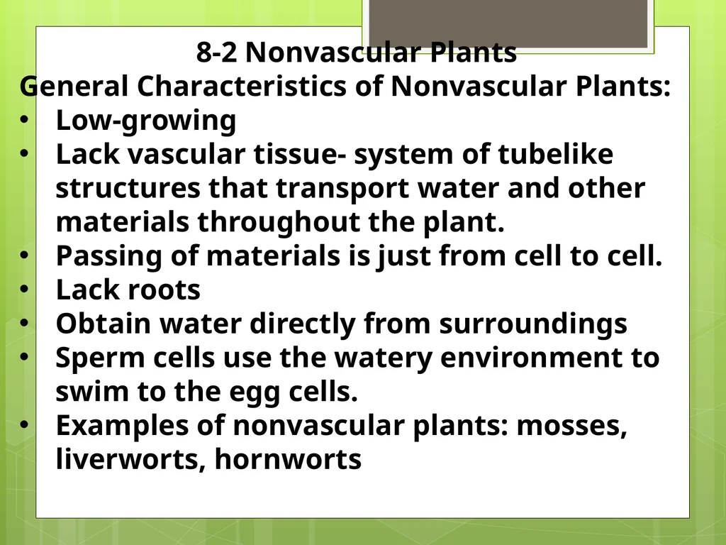 Chapter 8: Introduction to Plants 8-1: The Plant - slide 9 of 25