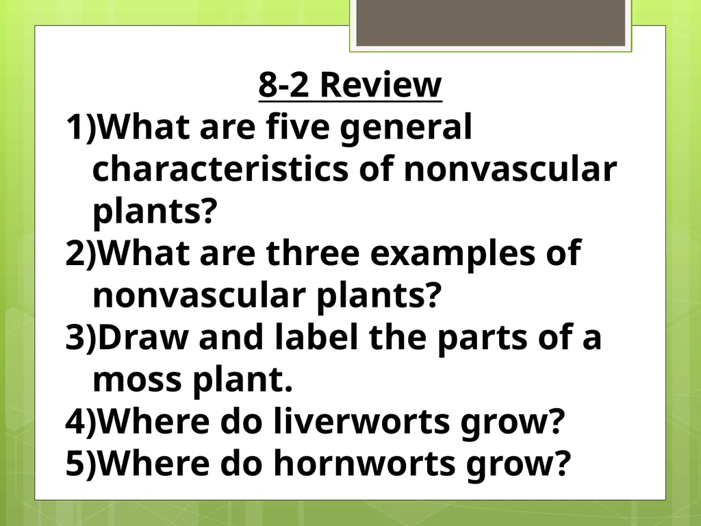 Chapter 8: Introduction to Plants 8-1: The Plant - slide 12 of 25