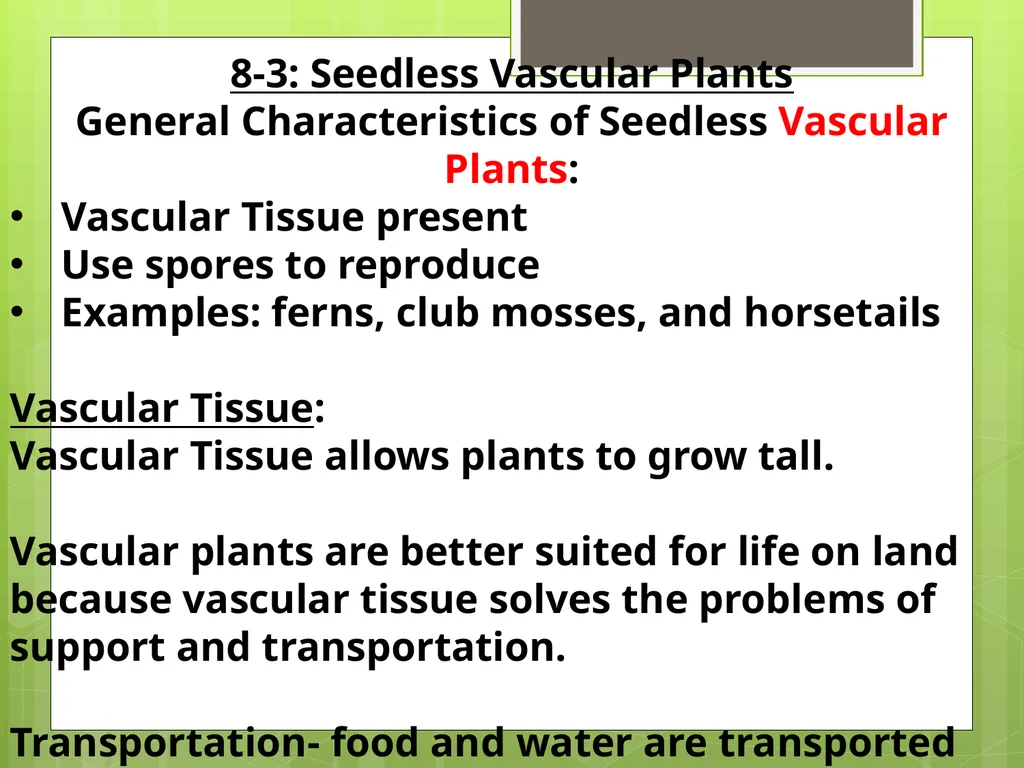 Chapter 8: Introduction to Plants 8-1: The Plant - slide 13 of 25