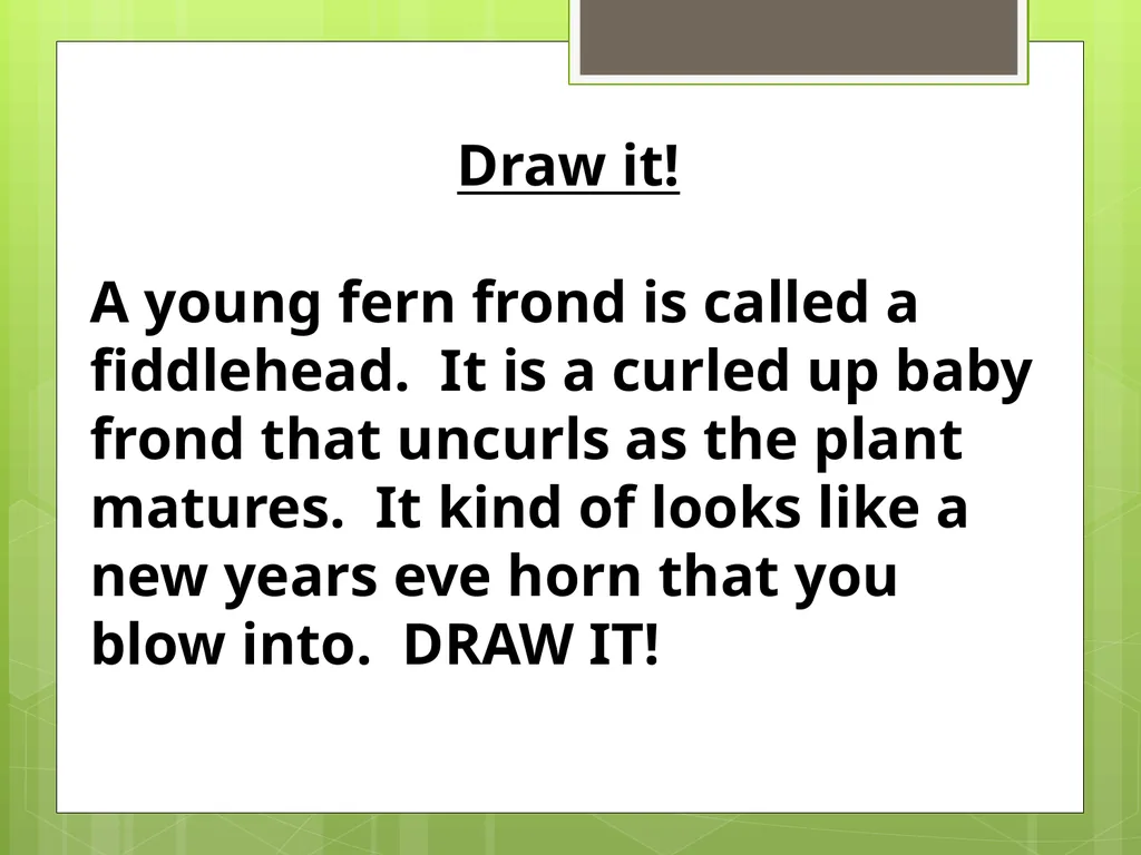 Chapter 8: Introduction to Plants 8-1: The Plant - slide 21 of 25
