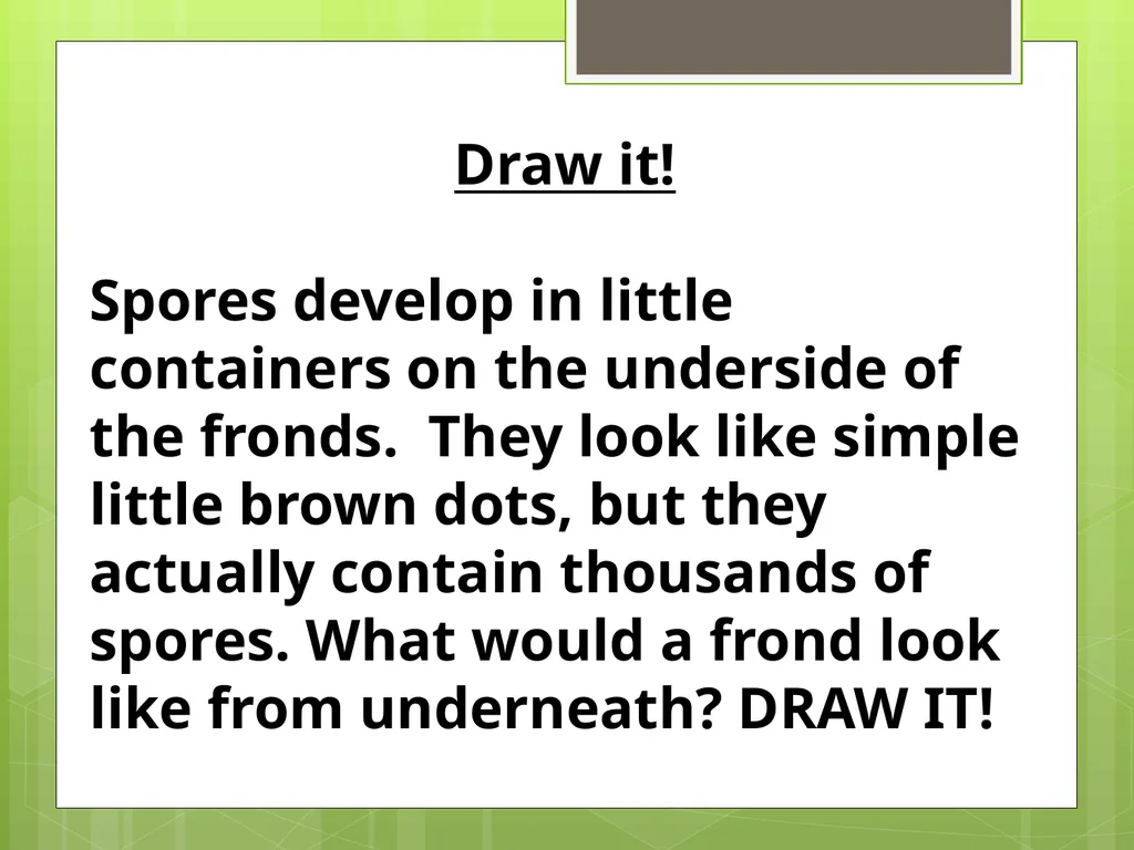 Chapter 8: Introduction to Plants 8-1: The Plant - slide 22 of 25