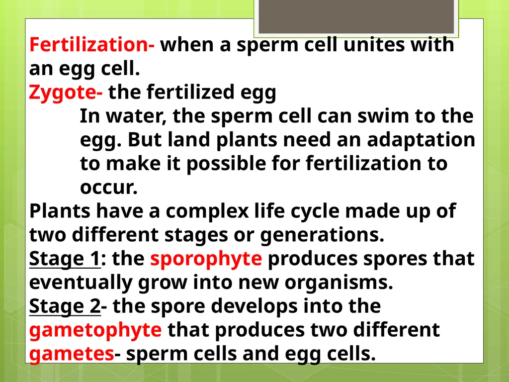 Chapter 8: Introduction to Plants 8-1: The Plant - slide 6 of 25