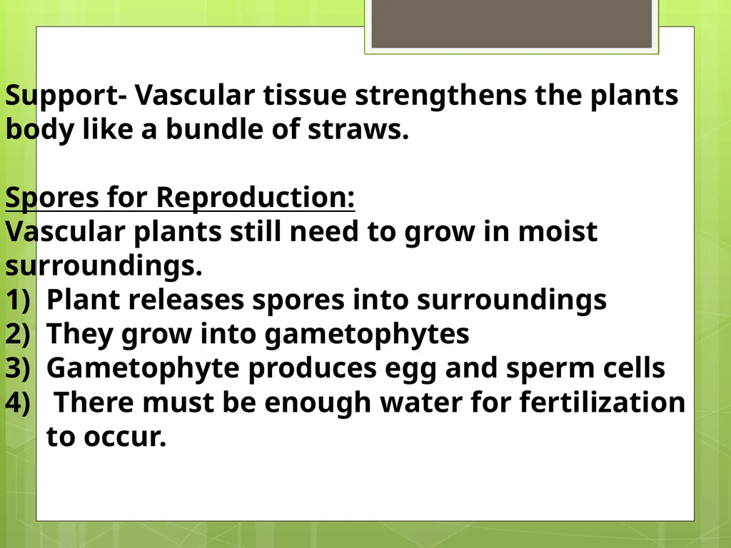 Chapter 8: Introduction to Plants 8-1: The Plant - slide 14 of 25