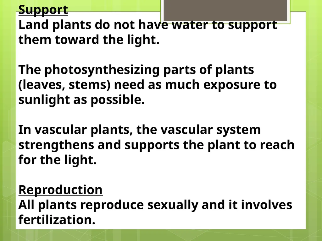 Chapter 8: Introduction to Plants 8-1: The Plant - slide 5 of 25