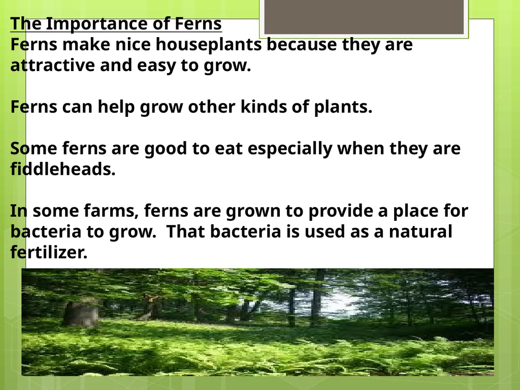 Chapter 8: Introduction to Plants 8-1: The Plant - slide 17 of 25
