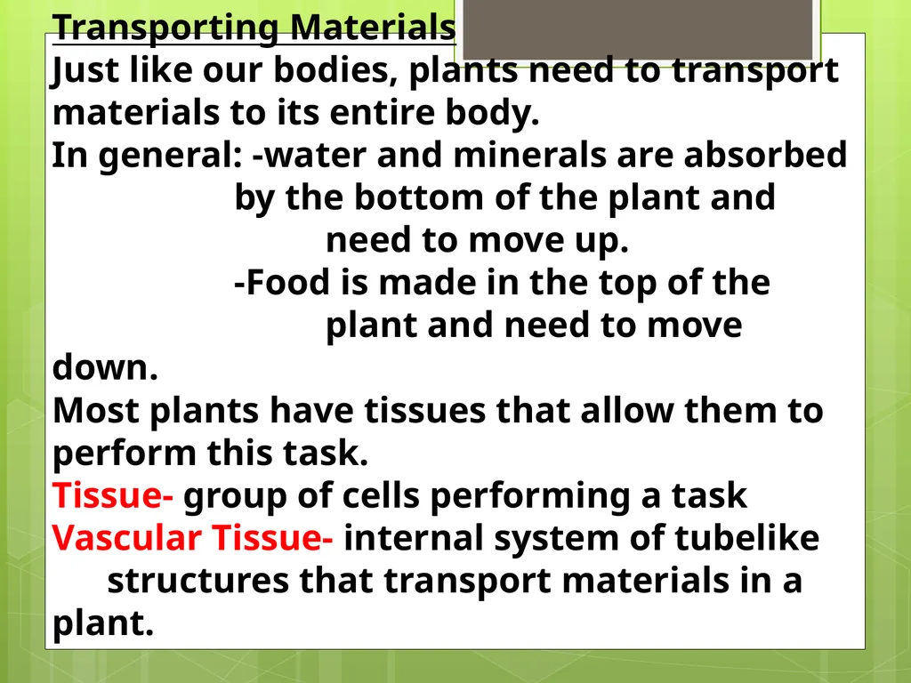 Chapter 8: Introduction to Plants 8-1: The Plant - slide 4 of 25